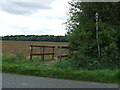 Footpath And Bridge