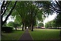 Tree lined path, Summerfield Park