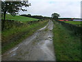 A wet lane on a grey day