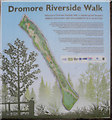 H3563 : "Dromore Riverside Walk" information board by Kenneth  Allen