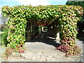 The pergola in Ruskin Park