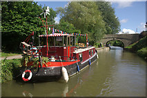 ST7666 : Kennet & Avon Canal, near Bathampton by Stephen McKay