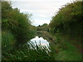 Rushall Canal, Daw End Branch