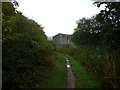 Rushall Canal, Daw End Branch