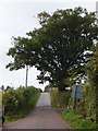 Road passing Crannaford Farm