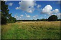 Across Galleywood Common