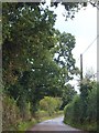 Road to Whimple, west of Gateshayes Farm