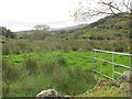 The valley floor north of Greenan Lough