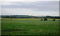 View north from the West Coastway Line