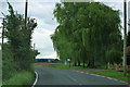 Willow outside Fen Farm