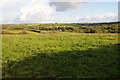 Farmland above Redberth