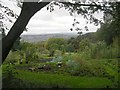 Allotments - Larkfield Drive