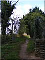 TM4155 : Footpath to Iken Cliff by Geographer