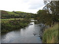 The River Wye (Afon Gwy)