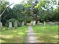 Footpath through Wilmington Churchyard