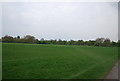 TQ2882 : Grassland, Regent's Park by N Chadwick