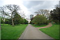 TQ2882 : Regent's Park by N Chadwick