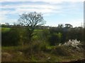 Waste Land Rodden Lake Stream