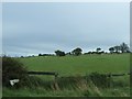 Farmland off the A171