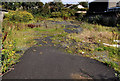 Vacant site, Lisburn (2)