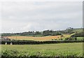 Croplands west of the Black Causeway Road