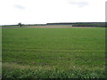 View over Laughton Ings