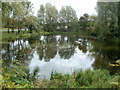 Reflections on a pond, Llantarnam Park Way, Cwmbran 