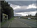 NH6052 : A9 towards Inverness by Richard Dorrell
