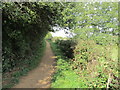 Footpath, Stoke Wood  