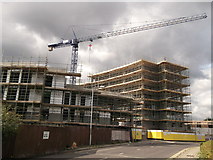 TQ3671 : Construction site near Sainsbury's Sydenham by David Anstiss
