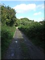 Part of former route of Exe Valley Way