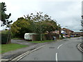 Early autumn in Cheriton Road