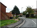 Lamppost in Cheriton Road