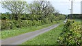 Road, Whitfield