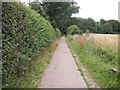 Footpath to Cockshoot Wood