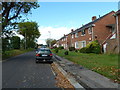 Leaves in the gutter at Wilmott Close