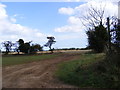 Footpath to Mill Lane