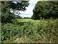 Eleventh tee and fairway at Piltdown Golf Club