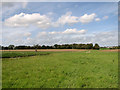 TM1874 : Fields east of Denham Low Road, Denham by Evelyn Simak