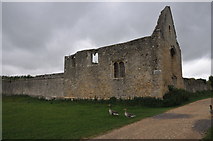 SP4809 : Godstow Priory by Philip Halling