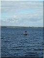 R7282 : Navigation Buoy, Lough Derg, Co. Clare by JP