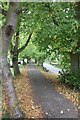 Cobbled path on the causeway