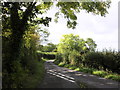 Lane to West Buckland, near Lype Hill