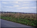 View from Summerswood Lane, Ridge