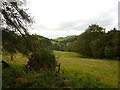 Fields and woods to the west of Glenfarg