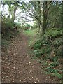 Footpath to the east side of Butterdon Down