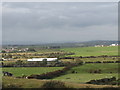 The K fish plant from Ardtole Church