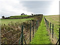 Fenced path leading uphill to the ruined medieval St Nicholas