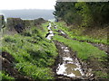 Rutted track near Butterdean