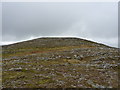 NN2876 : Stony slopes below Cruach Innse by Richard Law